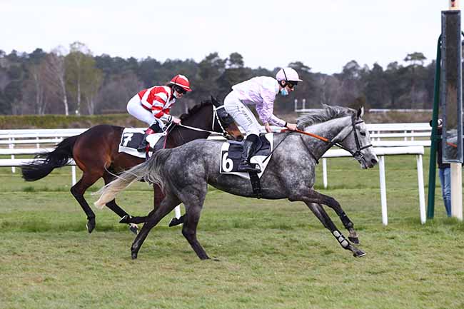 Photo d'arrivée de la course pmu PRIX DE SAMOIS-SUR-SEINE à FONTAINEBLEAU le Vendredi 16 avril 2021