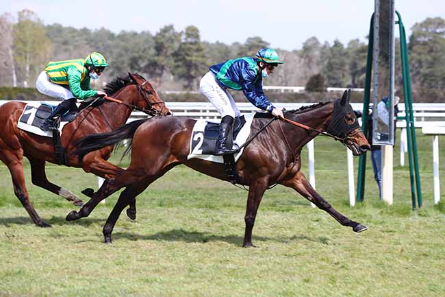 Photo d'arrivée de la course pmu PRIX GEORGES SANDOR à FONTAINEBLEAU le Vendredi 16 avril 2021