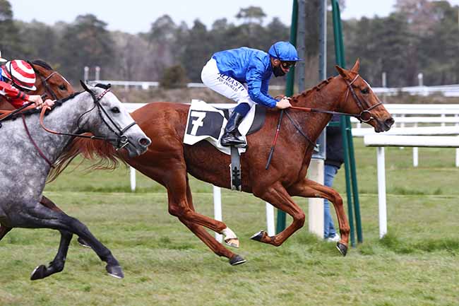 Photo d'arrivée de la course pmu PRIX DE SAMOREAU à FONTAINEBLEAU le Vendredi 16 avril 2021
