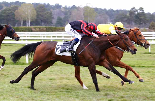 Photo d'arrivée de la course pmu PRIX DE LA CHAPELLE-LA-REINE à FONTAINEBLEAU le Vendredi 16 avril 2021