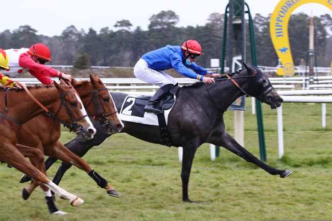 Photo d'arrivée de la course pmu PRIX DES HAUTEURS DE LA SOLLE à FONTAINEBLEAU le Vendredi 16 avril 2021