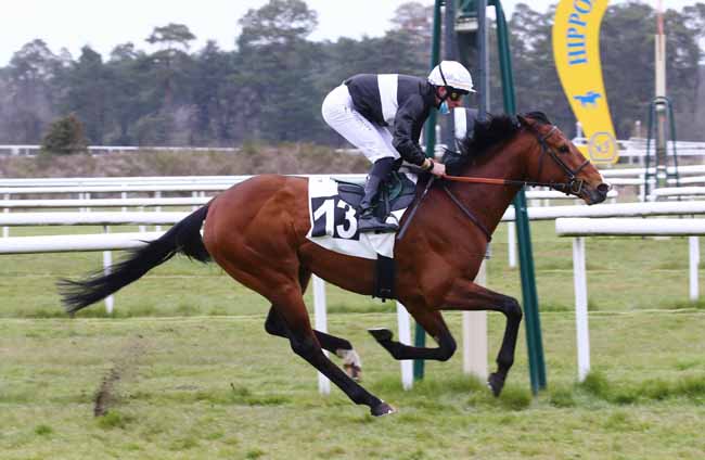 Photo d'arrivée de la course pmu PRIX DU BOIS DE LA COMMANDERIE à FONTAINEBLEAU le Vendredi 16 avril 2021