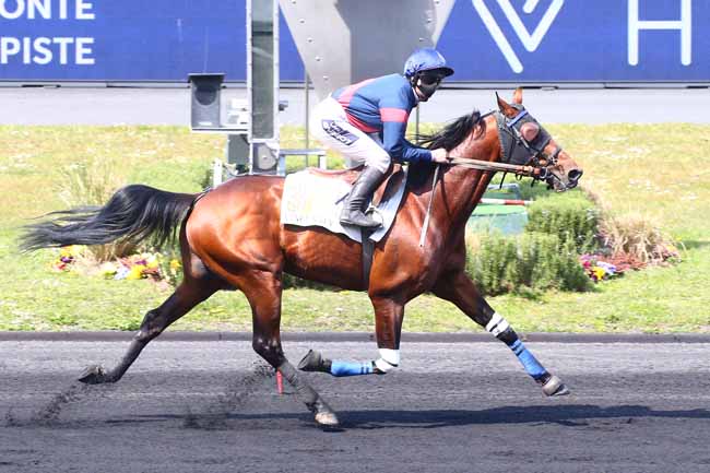 Photo d'arrivée de la course pmu PRIX BEAUMANOIR à PARIS-VINCENNES le Samedi 17 avril 2021