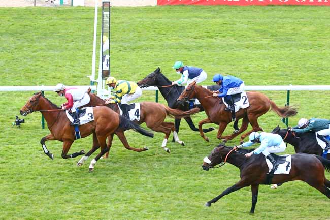 Photo d'arrivée de la course pmu PRIX DE FONTAINEBLEAU à LONGCHAMP le Dimanche 18 avril 2021