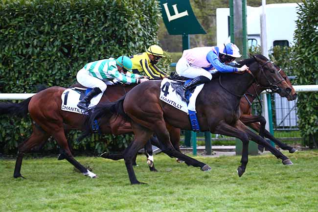 Photo d'arrivée de la course pmu PRIX DU BERCEAU à CHANTILLY le Mardi 20 avril 2021