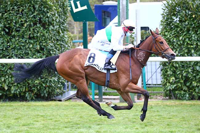 Photo d'arrivée de la course pmu PRIX SIGY à CHANTILLY le Mardi 20 avril 2021