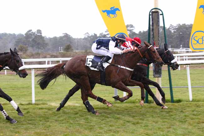 Photo d'arrivée de la course pmu PRIX DE LA MARE A PIAT à FONTAINEBLEAU le Mardi 20 avril 2021