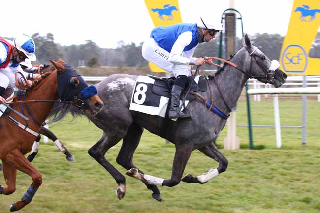 Photo d'arrivée de la course pmu PRIX DE LA TOUR DENECOURT à FONTAINEBLEAU le Mardi 20 avril 2021