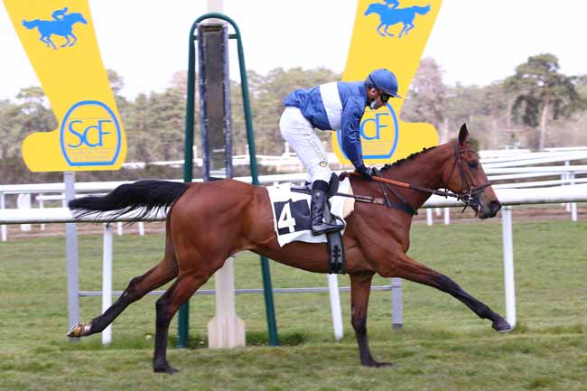 Photo d'arrivée de la course pmu PRIX DE LA SOCIETE DES COURSES DE MOULINS à FONTAINEBLEAU le Mardi 20 avril 2021