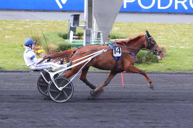 Photo d'arrivée de la course pmu PRIX ATHOR à PARIS-VINCENNES le Mardi 20 avril 2021