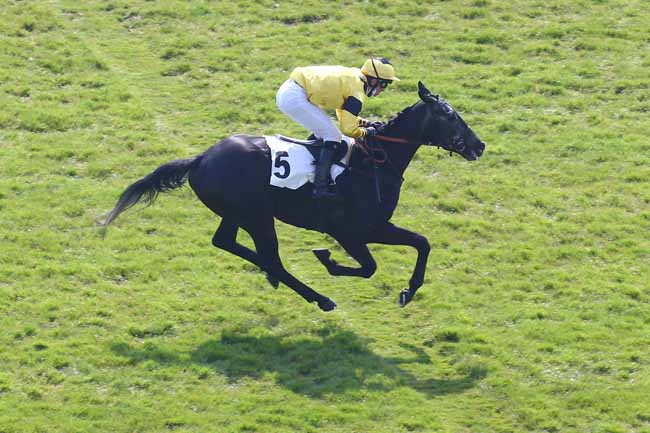 Photo d'arrivée de la course pmu PRIX ANDRE GIRARD à AUTEUIL le Mercredi 21 avril 2021