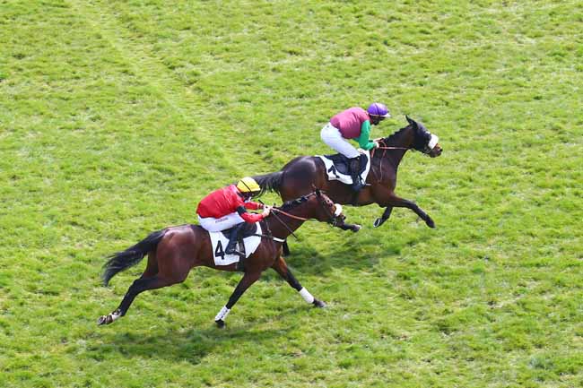 Photo d'arrivée de la course pmu PRIX DE PAU à AUTEUIL le Mercredi 21 avril 2021