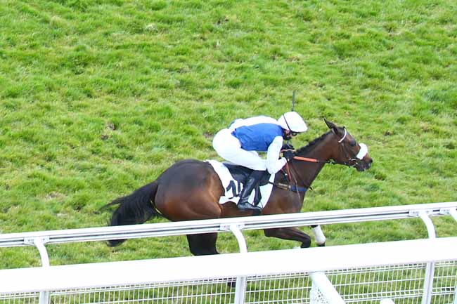 Photo d'arrivée de la course pmu PRIX CLAUDE COHEN à AUTEUIL le Mercredi 21 avril 2021