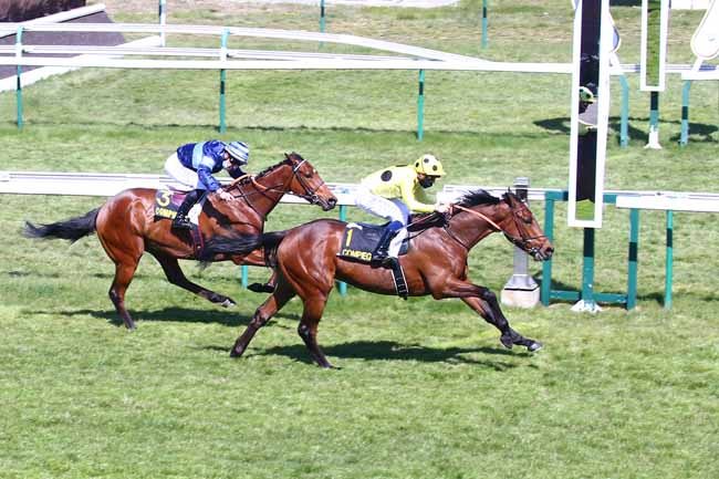 Photo d'arrivée de la course pmu PRIX DE SOISSONS à COMPIEGNE le Vendredi 23 avril 2021
