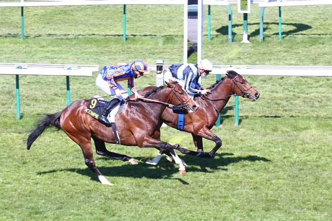 Photo d'arrivée de la course pmu PRIX ATALANTE à COMPIEGNE le Vendredi 23 avril 2021