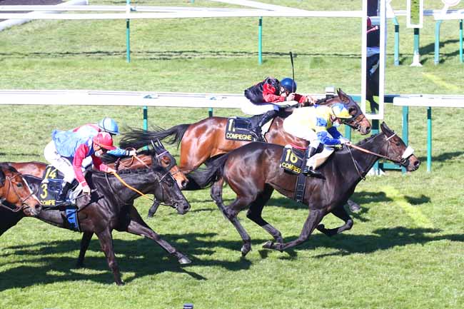 Photo d'arrivée de la course pmu PRIX DE MARGNY-LES-COMPIEGNE à COMPIEGNE le Vendredi 23 avril 2021