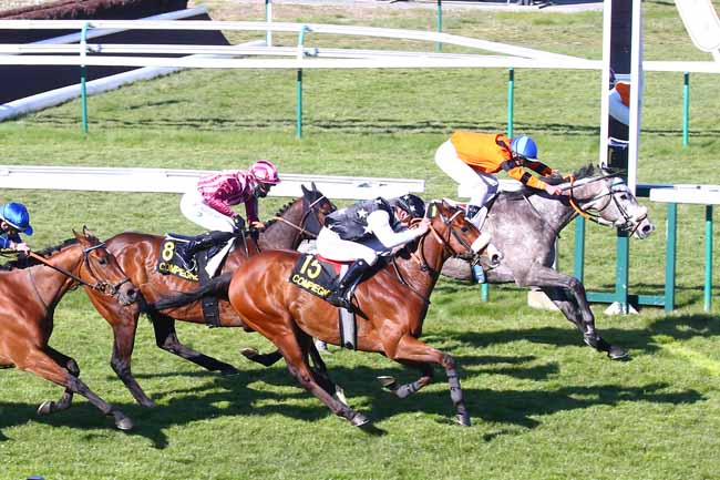 Photo d'arrivée de la course pmu PRIX DE MARGNY-SUR-MATZ à COMPIEGNE le Vendredi 23 avril 2021