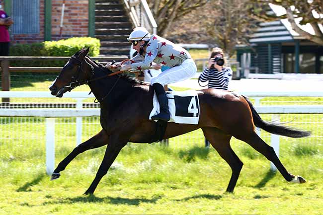 Photo d'arrivée de la course pmu PRIX MAISON DE VENTES AUX ENCHERES OSENAT à FONTAINEBLEAU le Samedi 24 avril 2021