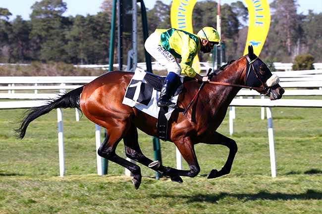 Photo d'arrivée de la course pmu PRIX TROPHEE VERT HIPPODROME DE RAMBOUILLET à FONTAINEBLEAU le Samedi 24 avril 2021