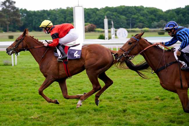 Photo d'arrivée de la course pmu PRIX SC IMMOBILIER EQUESTRE - CRITERIUM DES JEUNES à BORDEAUX-LE BOUSCAT le Mardi 27 avril 2021