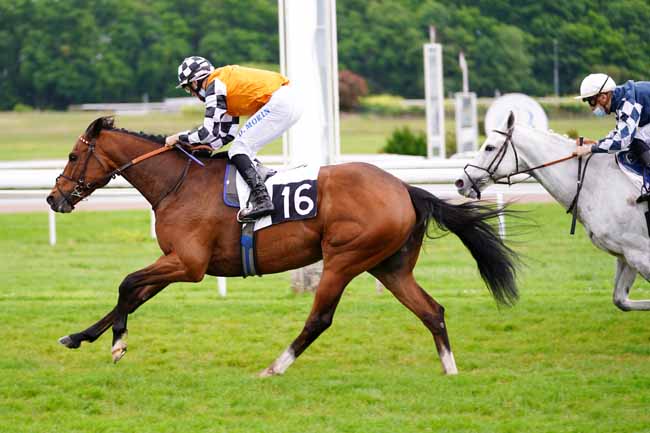 Photo d'arrivée de la course pmu HANDICAP DE BORDEAUX à BORDEAUX-LE BOUSCAT le Mardi 27 avril 2021
