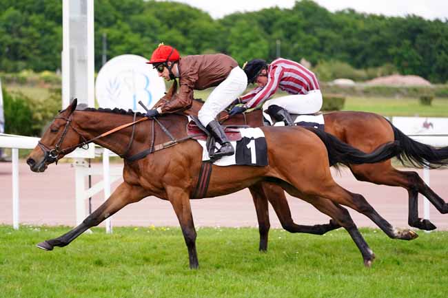 Photo d'arrivée de la course pmu PRIX MON ROMAIN à BORDEAUX-LE BOUSCAT le Mardi 27 avril 2021