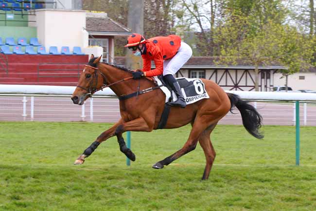 Photo d'arrivée de la course pmu PRIX DE SOSPEL à COMPIEGNE le Jeudi 29 avril 2021