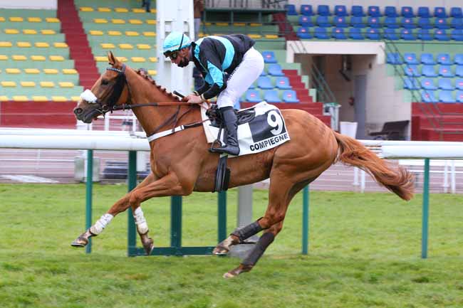 Photo d'arrivée de la course pmu PRIX DE CASTETS à COMPIEGNE le Jeudi 29 avril 2021