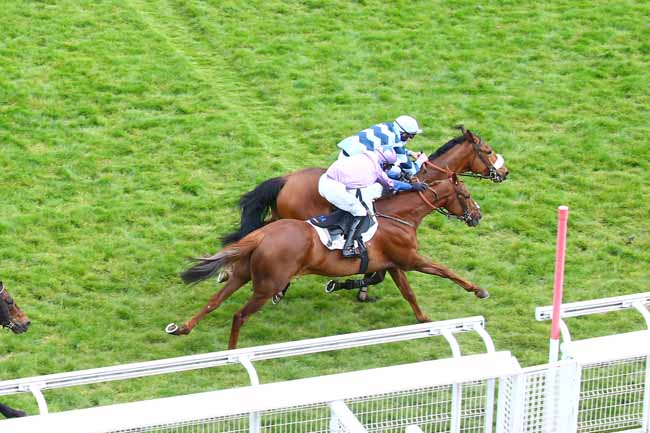 Photo d'arrivée de la course pmu GRANDE COURSE DE HAIES DE PRINTEMPS à AUTEUIL le Vendredi 30 avril 2021