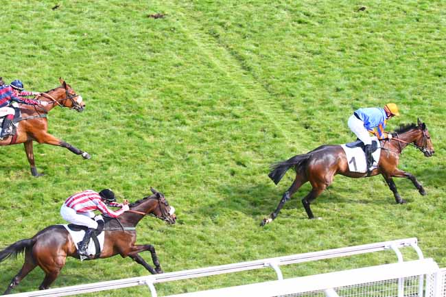 Photo d'arrivée de la course pmu PRIX DES CHARENTES à AUTEUIL le Vendredi 30 avril 2021