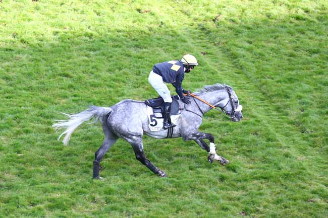 Photo d'arrivée de la course pmu PRIX ROGER DUCHENE - GRAND PRIX DES JEUNES JOCKEYS à AUTEUIL le Vendredi 30 avril 2021