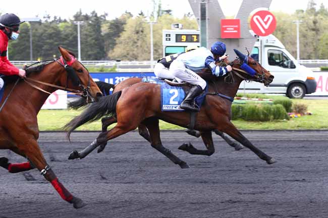 Photo d'arrivée de la course pmu ETRIER SUMMER RACES 4 ANS - QUALIF 1 à PARIS-VINCENNES le Mardi 4 mai 2021