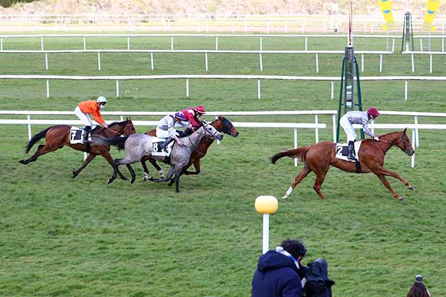 Photo d'arrivée de la course pmu PRIX DES CYPRES à FONTAINEBLEAU le Mercredi 5 mai 2021