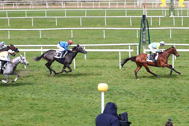 Photo d'arrivée de la course pmu PRIX ROSA BONHEUR à FONTAINEBLEAU le Mercredi 5 mai 2021