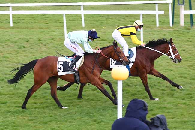 Photo d'arrivée de la course pmu PRIX DE LA FONTAINE DESIREE à FONTAINEBLEAU le Mercredi 5 mai 2021