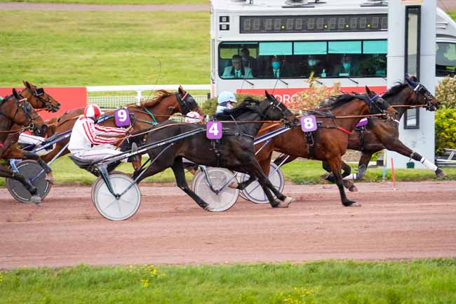 Photo d'arrivée de la course pmu PRIX DE MALBO à ENGHIEN le Mercredi 5 mai 2021