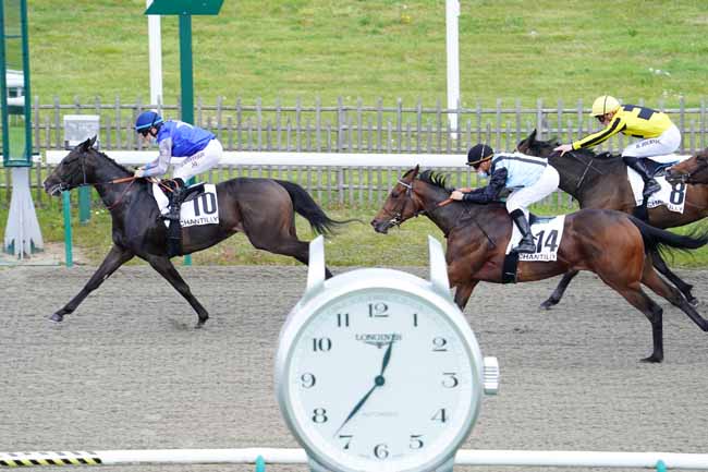 Photo d'arrivée de la course pmu PRIX DU BOIS D'ORIVAL à CHANTILLY le Vendredi 7 mai 2021