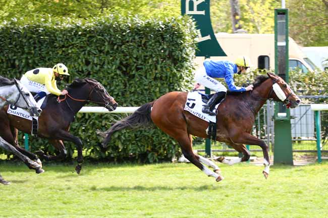 Photo d'arrivée de la course pmu PRIX DU CHAUDRON à CHANTILLY le Vendredi 7 mai 2021