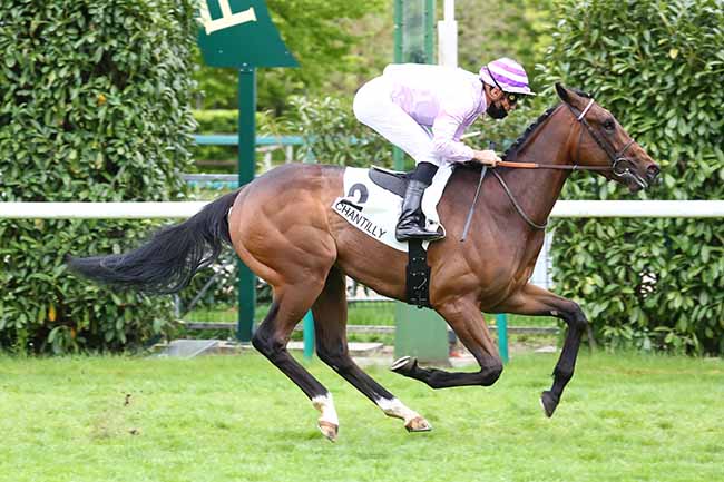 Photo d'arrivée de la course pmu PRIX DU COQ CHANTANT à CHANTILLY le Mardi 11 mai 2021