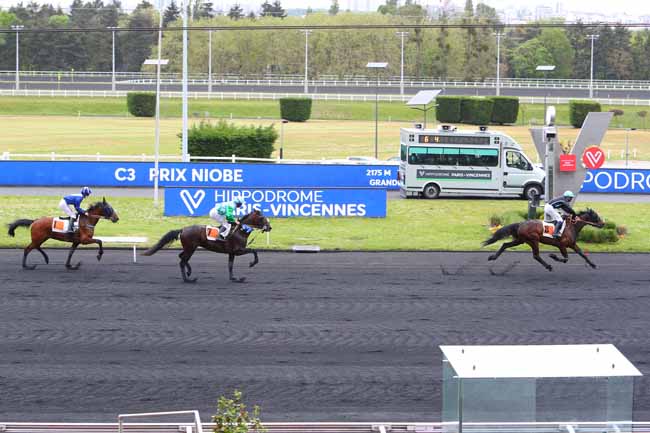 Photo d'arrivée de la course pmu PRIX NIOBE à PARIS-VINCENNES le Mardi 11 mai 2021
