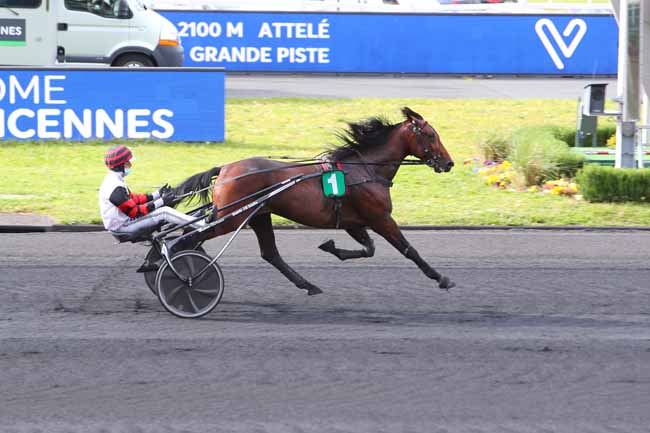 Photo d'arrivée de la course pmu PRIX DE QUIBERON à PARIS-VINCENNES le Mardi 11 mai 2021