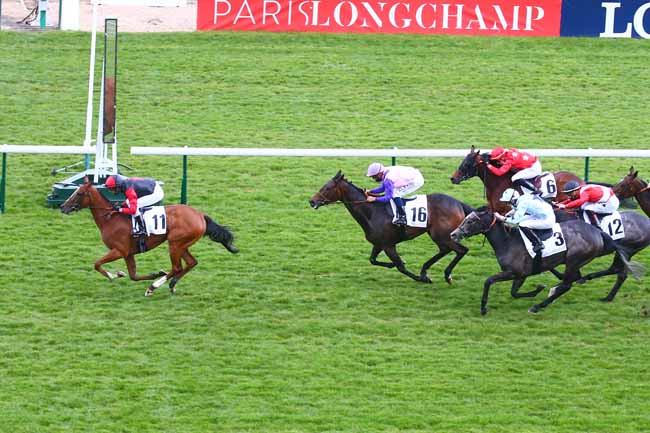 Photo d'arrivée de la course pmu PRIX DU BOIS DU RUSSE à LONGCHAMP le Jeudi 13 mai 2021