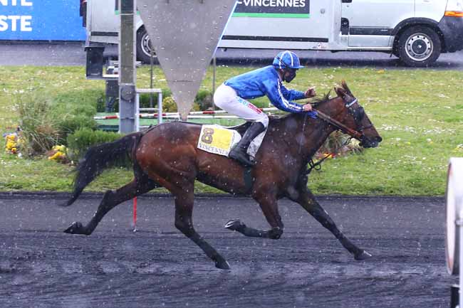 Photo d'arrivée de la course pmu PRIX GUILLAUME DE BELLAIGUE à PARIS-VINCENNES le Samedi 15 mai 2021