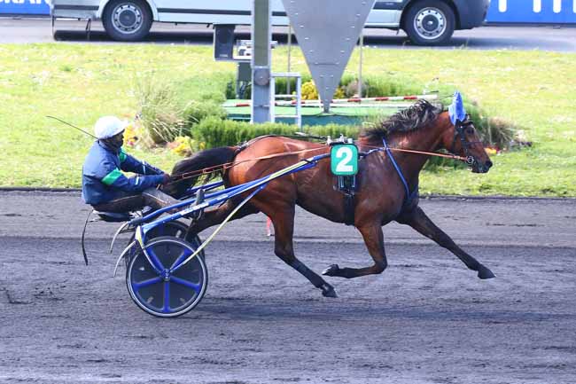 Photo d'arrivée de la course pmu PRIX DE DREUX à PARIS-VINCENNES le Samedi 15 mai 2021