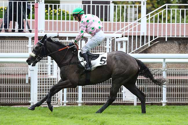 Photo d'arrivée de la course pmu PRIX MIROR à AUTEUIL le Samedi 15 mai 2021