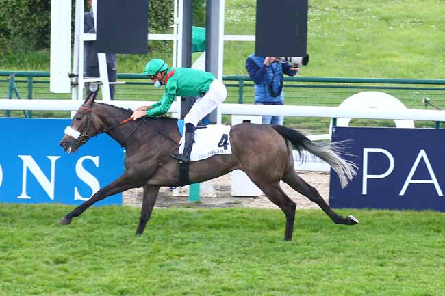 Photo d'arrivée de la course pmu PRIX MAURICE ZILBER - FONDS EUROPEEN DE L'ELEVAGE à LONGCHAMP le Dimanche 16 mai 2021