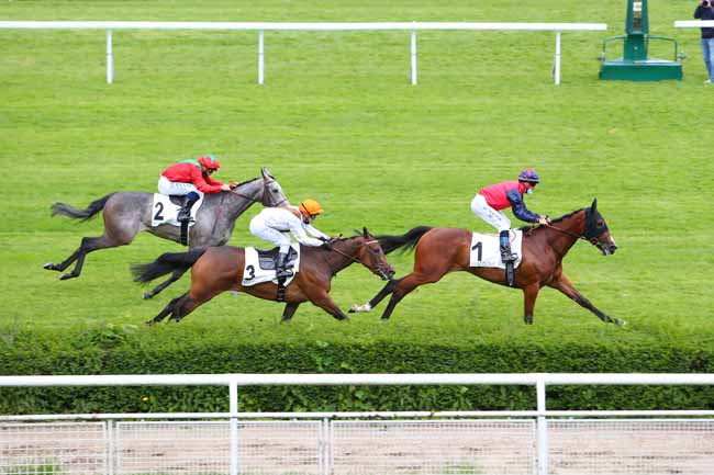 Photo d'arrivée de la course pmu PRIX PERRUCHE BLEUE à SAINT-CLOUD le Mardi 18 mai 2021