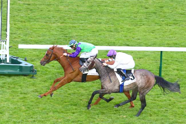 Photo d'arrivée de la course pmu PRIX DE LA DEFENSE à LONGCHAMP le Jeudi 20 mai 2021