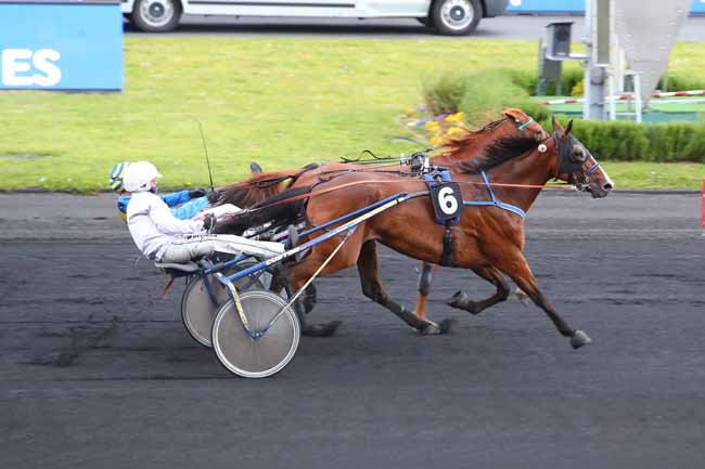 Photo d'arrivée de la course pmu PRIX CETUS à PARIS-VINCENNES le Vendredi 21 mai 2021