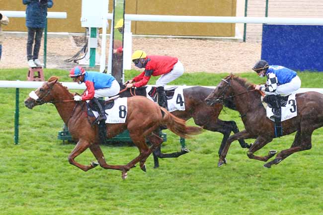 Photo d'arrivée de la course pmu PRIX HOCQUART à LONGCHAMP le Lundi 24 mai 2021